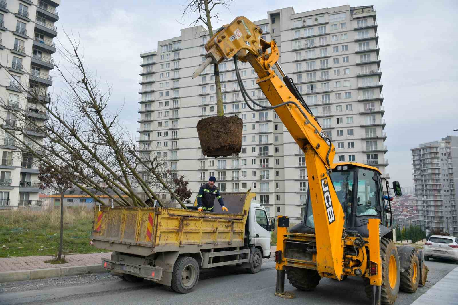 Esenyurt’un sokakları ağaçlarla süsleniyor
