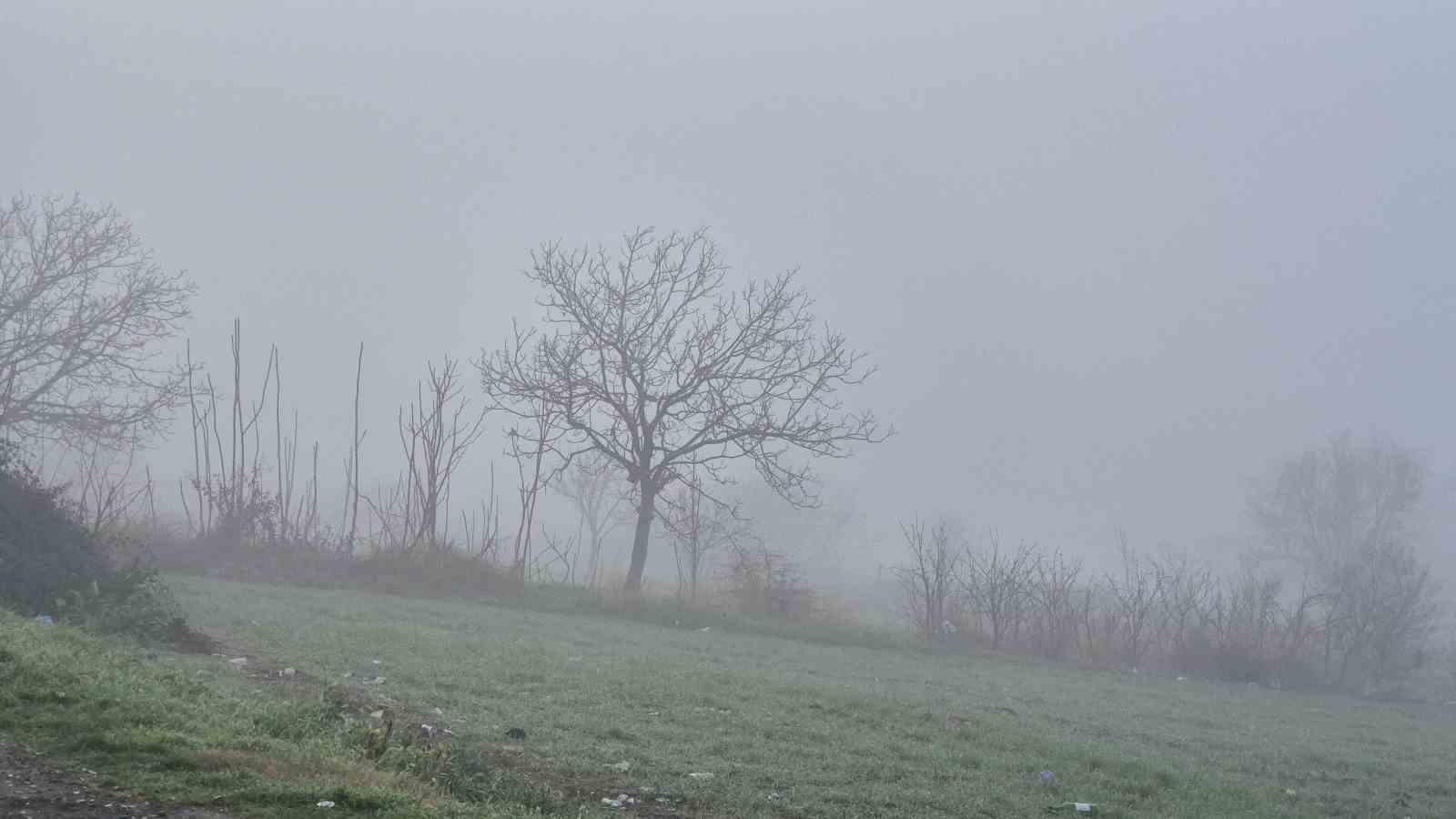 Tekirdağ’da yoğun sis: Sis şehri kapladı
