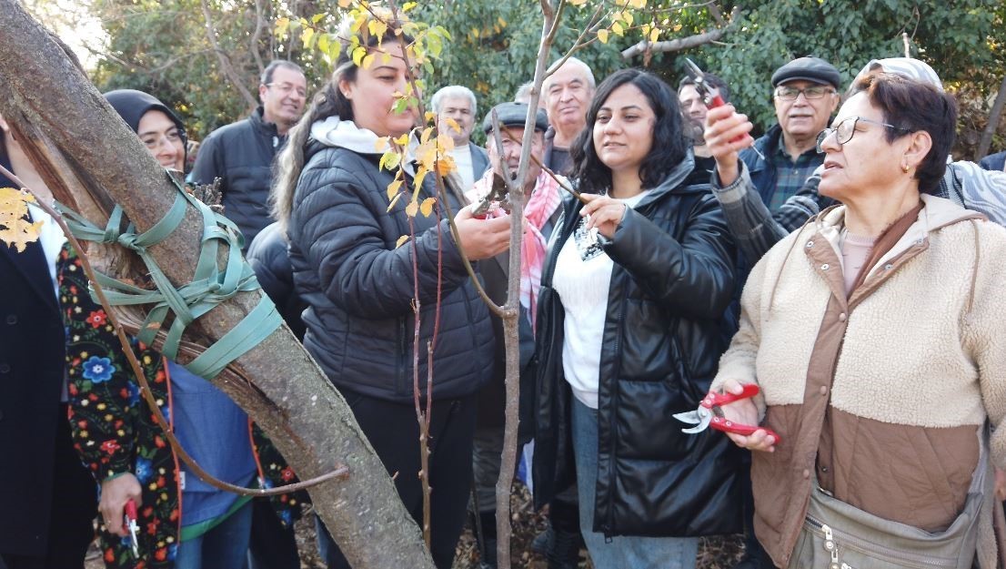 Emekli olduktan dağ taş gezip yabani meyve ağaçlarını aşılıyor
