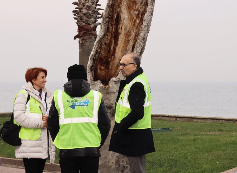 Yalova’da tarihi anıt ağaçlar uzmanlar tarafından incelendi
