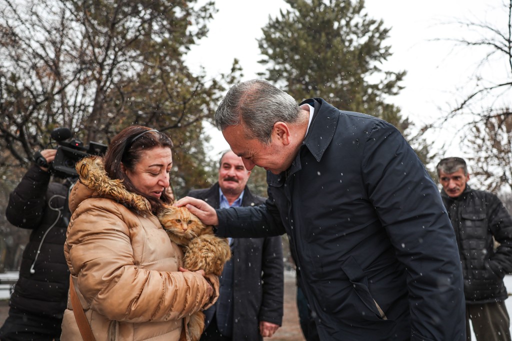 Kış günlerinde kediler için sıcak yuva
