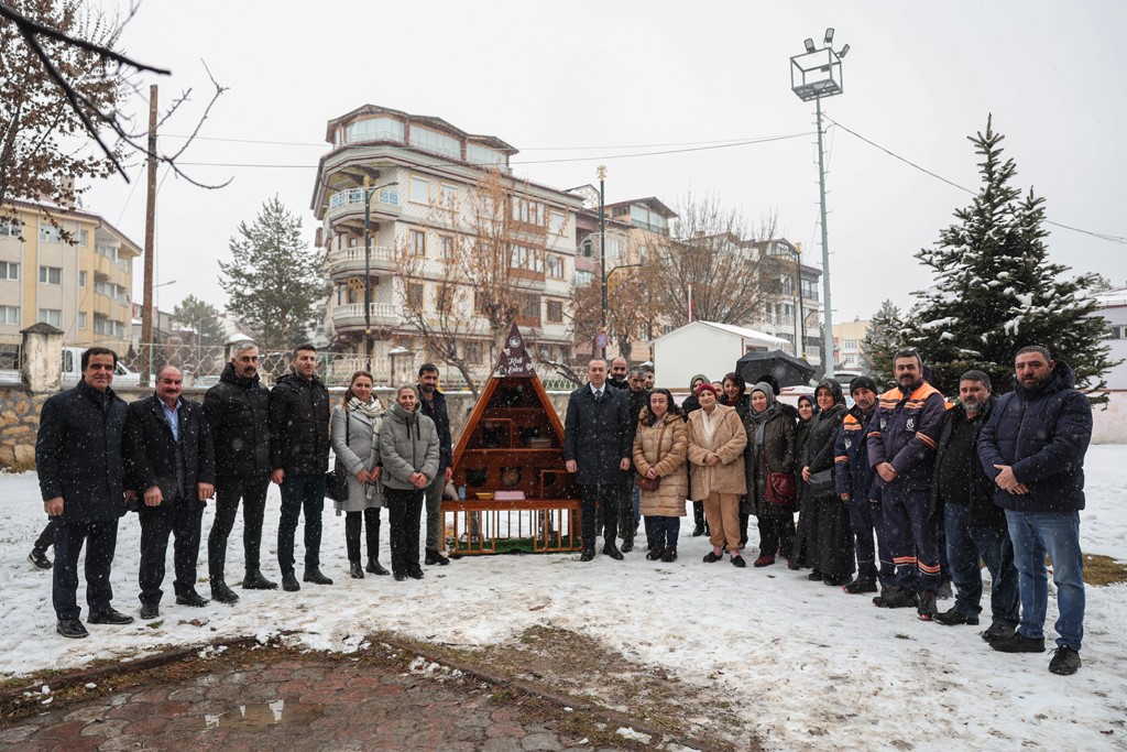 Kış günlerinde kediler için sıcak yuva
