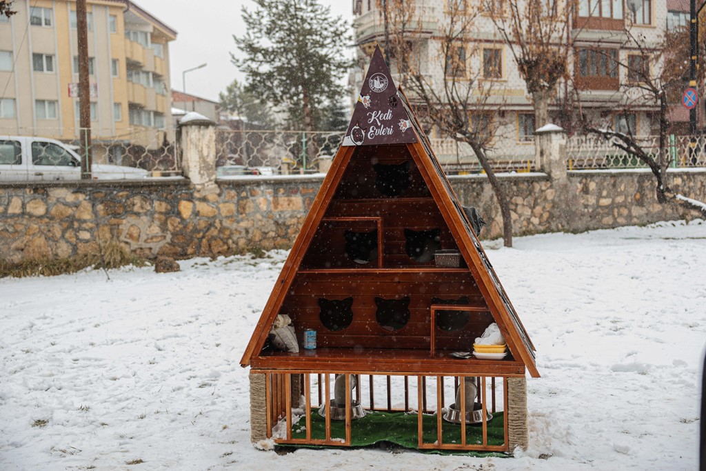 Kış günlerinde kediler için sıcak yuva
