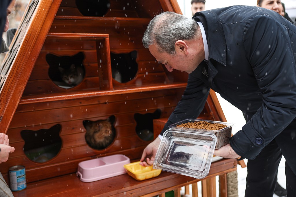 Kış günlerinde kediler için sıcak yuva
