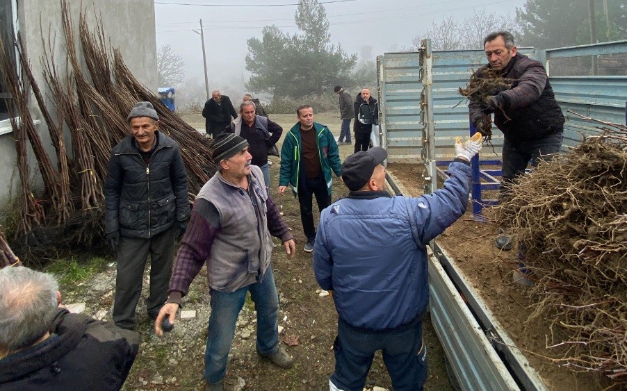 Tavşanlı’da 29 çiftçiye 2 bin 784 hünnap ve cennet hurması fidanı dağıtıldı
