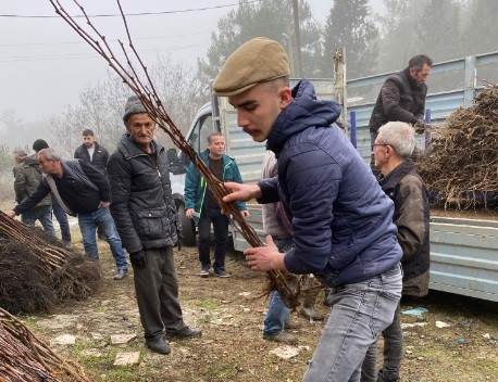 Tavşanlı’da 29 çiftçiye 2 bin 784 hünnap ve cennet hurması fidanı dağıtıldı
