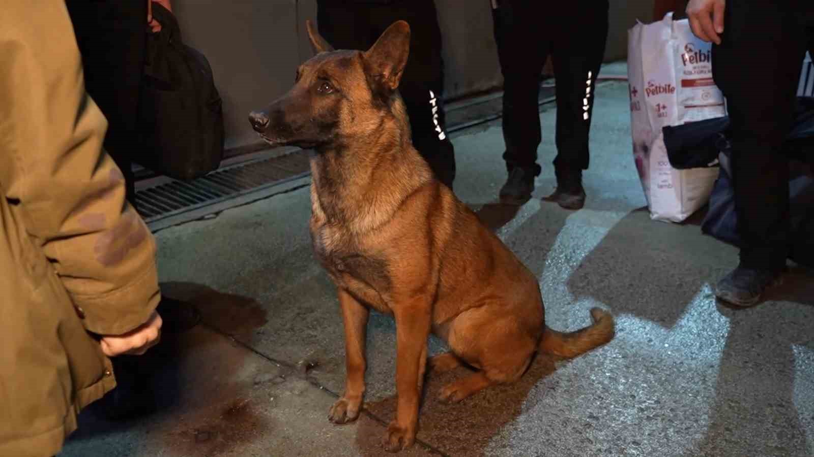 Hassas burunlu köpekler arama-kurtarma çalışmaları için Konya’ya hareket etti
